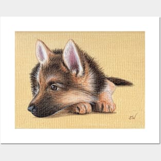 German Shepherd Puppy Posters and Art